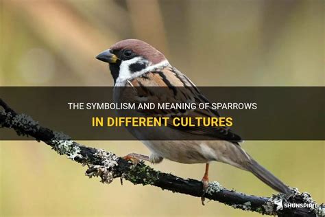 The Symbolic Significance of Sparrows Visiting Your Home