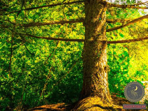 The Symbolic Significance of Tree Trunks in Dream Interpretation