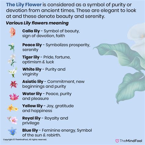 The Symbolic Significance of Various Plants in One's Dreams