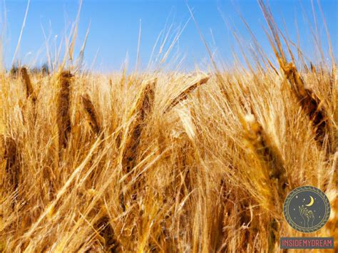 The Symbolic Significance of Wheat in Dreams