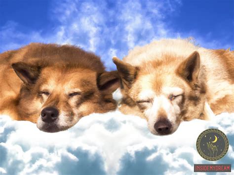 The Symbolic Significance of Wounding a Canine in One's Dream