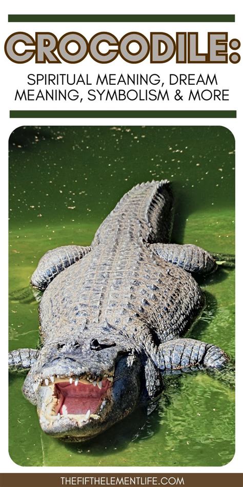 The Symbolic Significance of a Conversing Alligator in Dreams