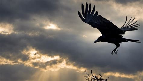 The Symbolic Significance of a Crow in Dreams