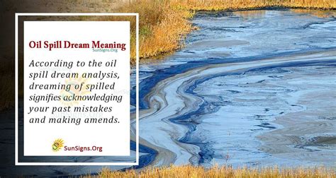 The Symbolic Significance of a Turmoil: Exploring the Meanings Behind a Accidental Oil Spill