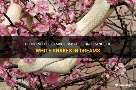 The Symbolic Significance of a White Snake with Black Stripes in Dream Interpretation