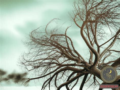 The Symbolic Significance of an Uprooted Tree in Dreams