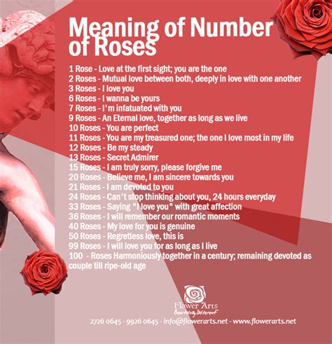 The Symbolic Significance of the Number of Roses