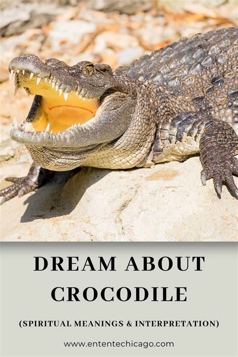 The Symbolic Universe of Dreams: Red Crocodile