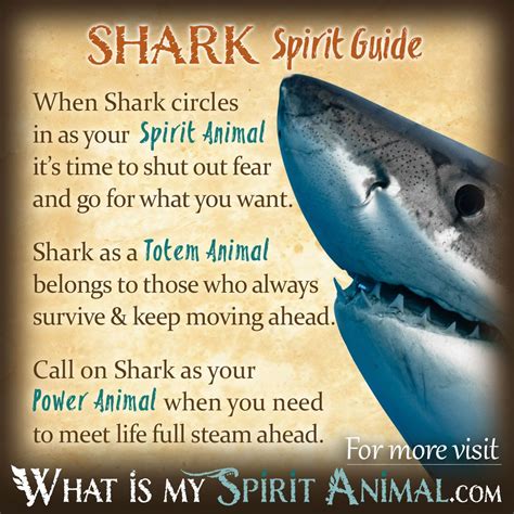 The Symbolism and Significance of a Shark's Circular Movement in Dreams