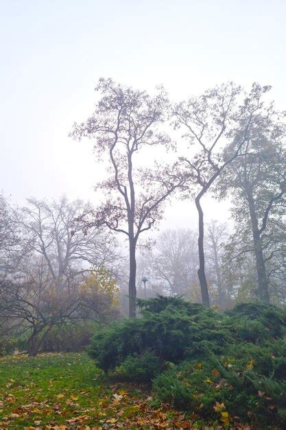 The Symbolism in A Reverie on an Autumn Morning in a Park