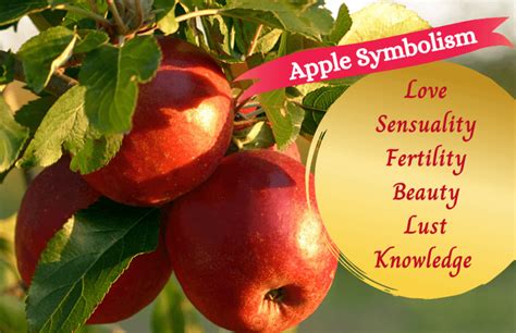 The Symbolism of Apples: From Temptation to Knowledge