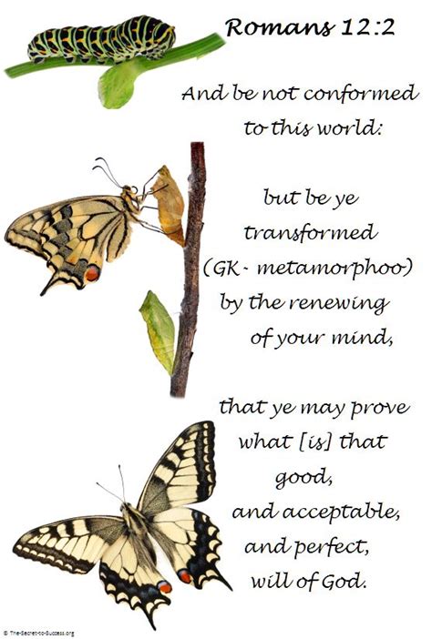 The Symbolism of Fresh Beginnings and Metamorphosis