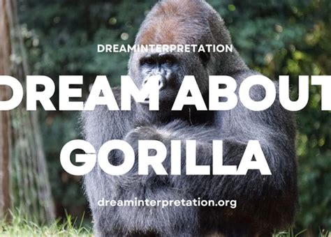 The Symbolism of Gorillas in Dreams: Decoding the Messages