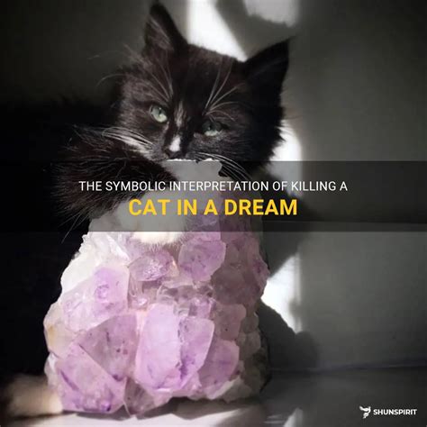 The Symbolism of Killing a Kitten in Dream Interpretation