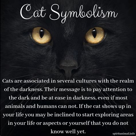 The Symbolism of Kittens