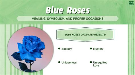 The Symbolism of Roses in Dreams