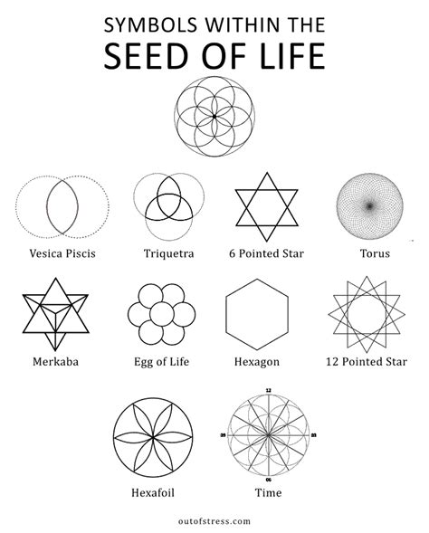 The Symbolism of Seeds in Various Cultures and Religions