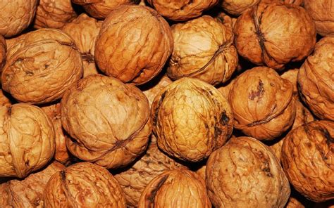 The Symbolism of Walnuts in Dreams