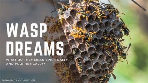 The Symbolism of Wasps and Bees in Dreams