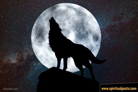 The Symbolism of a Howling Wolf in Dreams