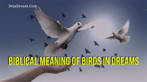 The Symbolism of the Wise Bird in Dreams