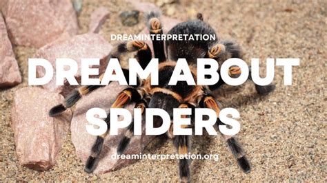 The Tarantula Spider: A Fascinating Dream Symbol