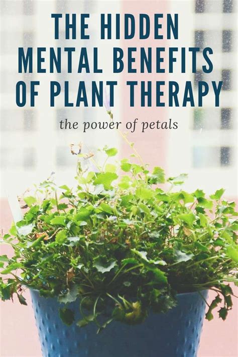 The Therapeutic Benefits of Indoor Plants for Mental Health