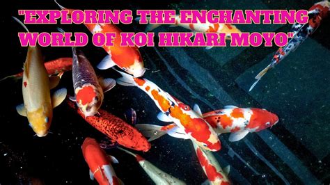 The Therapeutic Effects of Swimming alongside Enigmatic Koi Creatures