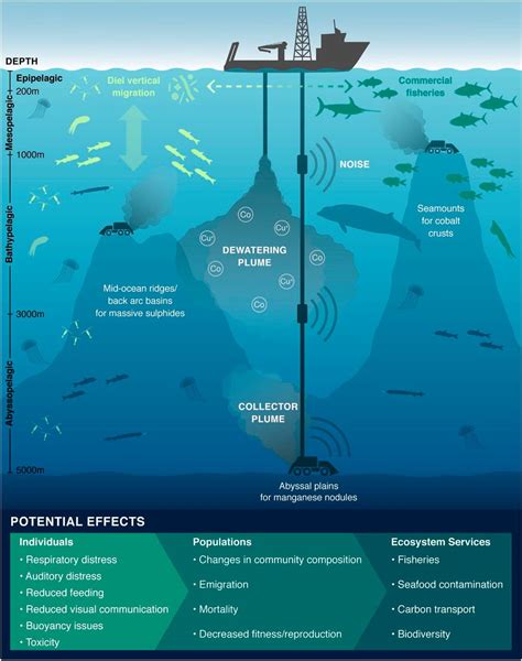 The Therapeutic Potential of Aquatic Environments: An In-Depth Exploration