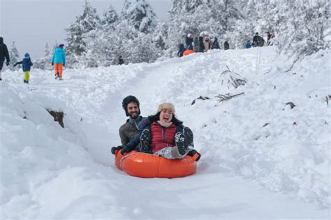 The Thrill Goes on: How to Sustain the Excitement of Year-Round Snow Sliding Adventures