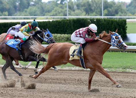 The Thrill and Excitement of Racehorse Ownership