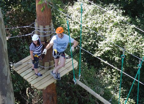 The Thrill of Adventure and Independence in Ascending to the Treetops