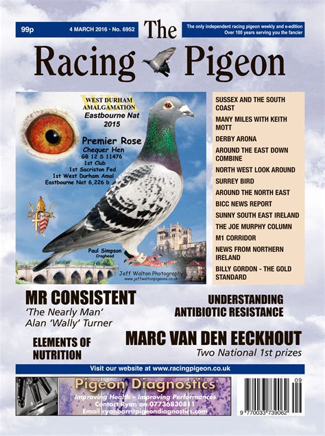 The Thrill of Pigeon Racing: Exploring the International Allure