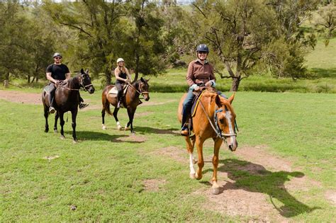 The Top Destinations for Pony Riding Adventures