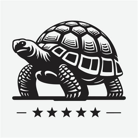 The Tortoise as a Symbol of Wisdom and Longevity