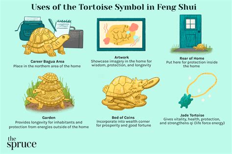 The Tortoise in Mythology and Symbolism