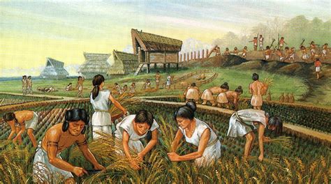 The Tradition of Rice Sharing in Traditional Asian Societies