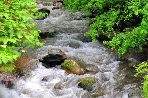 The Tranquil Harmony of Flowing Streams: An Oasis of Peace and Serenity