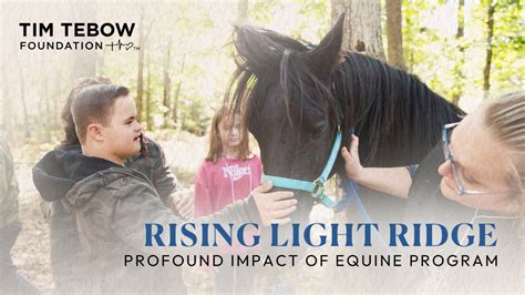 The Transcendent Impact of Equine Petting: A Profound Encounter