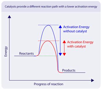 The Transcendent Influence of Light: Catalyzing Positive Transformation