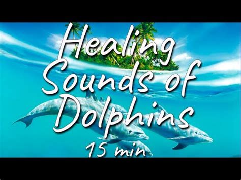 The Transformative Influence of Dolphin-Facilitated Healing