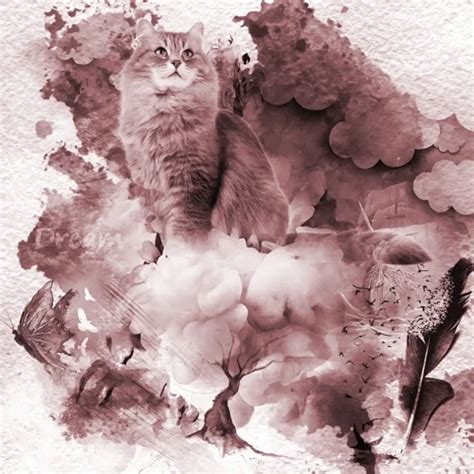 The Transformative Power of Dreams: Analyzing the Significance of Cat Metamorphosis