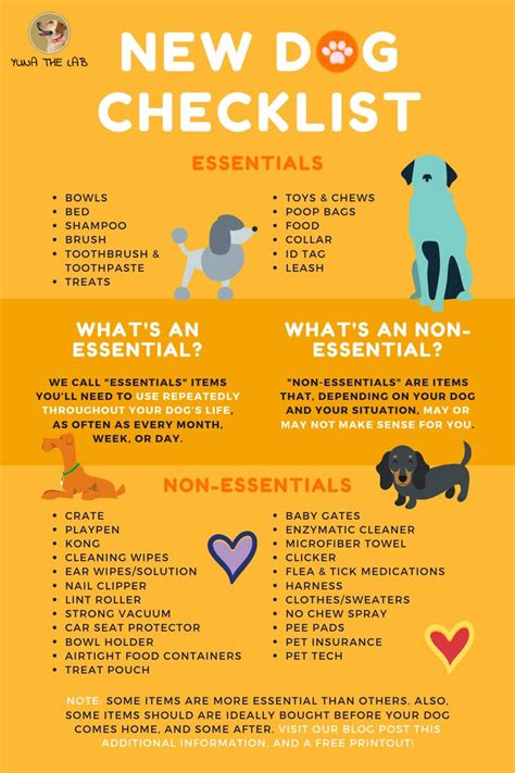 The Ultimate Puppy Checklist: Essential Supplies for New Puppy Owners