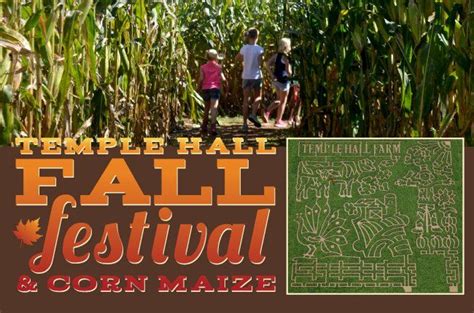 The Ultimate Toasted Maize Experience: Festivals and Events to Attend