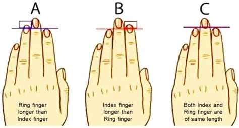 The Unconventional Choice: A Ring on the Lesser Known Finger