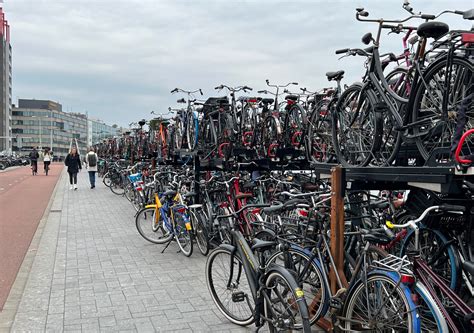 The Underground Market: Where Do Pilfered Bicycles Disappear To?