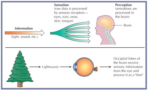 The Underlying Psychological Factors Behind Experiencing a Sense of Disorientation during Train Journeys