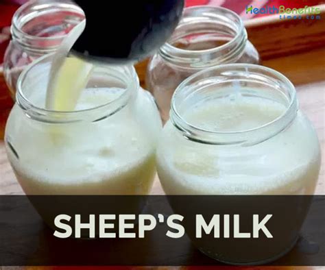 The Unexpected Health Advantages of Sheep Milk: A Comparative Examination