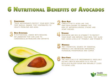 The Unexpected Perks of Avocado for Your Well-being