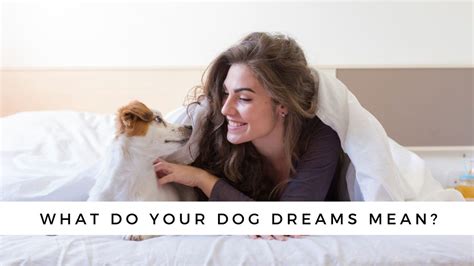 The Unexpected Psychological Interpretations of Dreaming about Canines